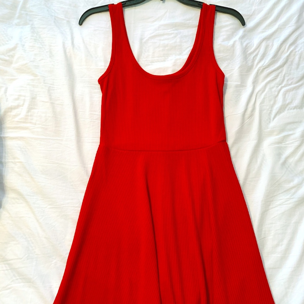 Never Worn Before Ribbed Skater Dress